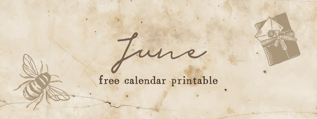 Monthly Calendar Printable 📆