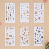 Tsuki ‘Dried Flowers’ Transparent Sticker Set ☾