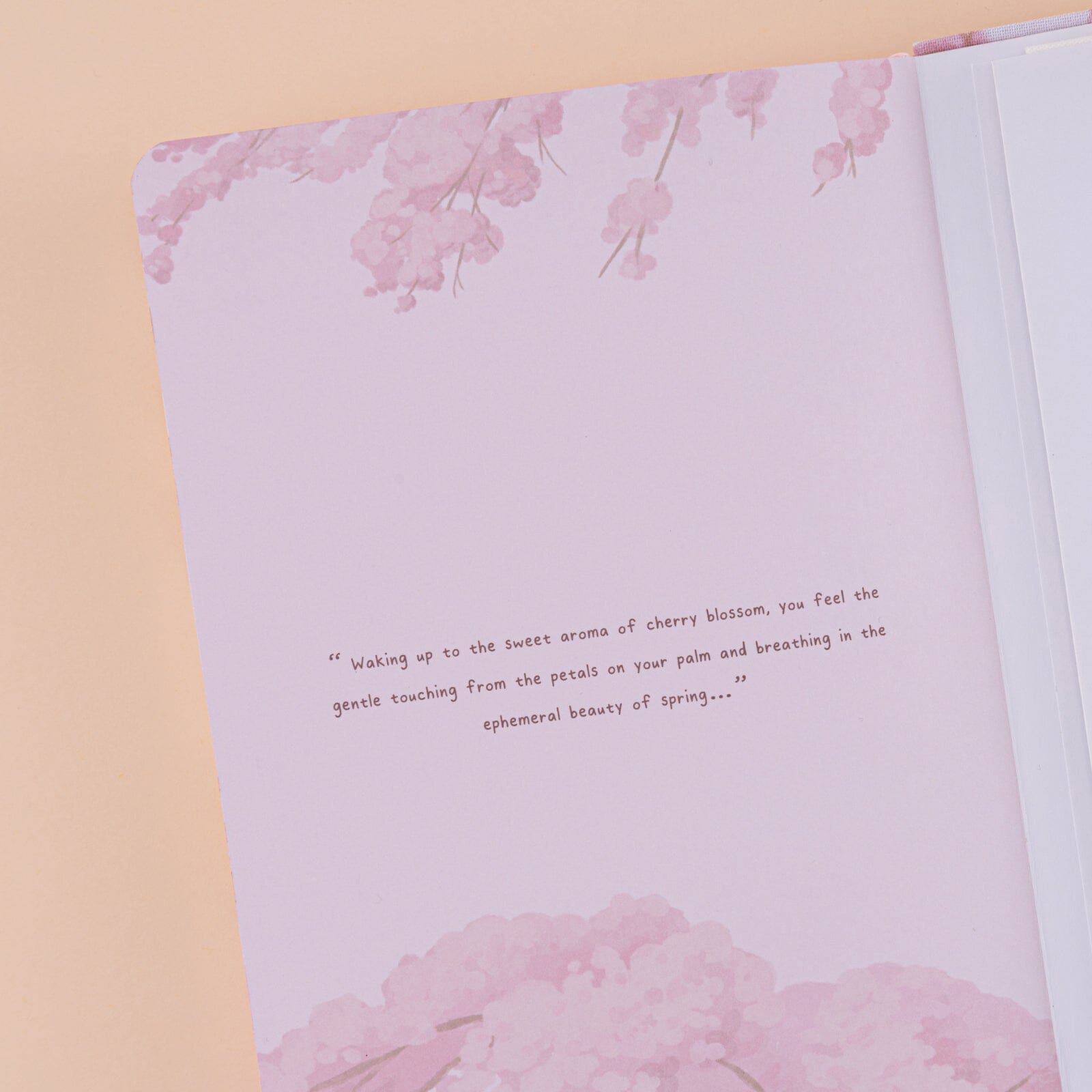 Tsuki Four Seasons: Spring Collector’s Edition 2024 Bullet Journal ☾