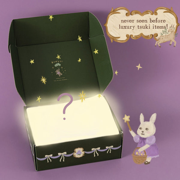 YUKI box♡ YUKI BOMAX-A4 MAXY Box Additional Store Case 53 x 36.5 x 9cm | eBay