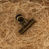 Close up of metal clip with gold details