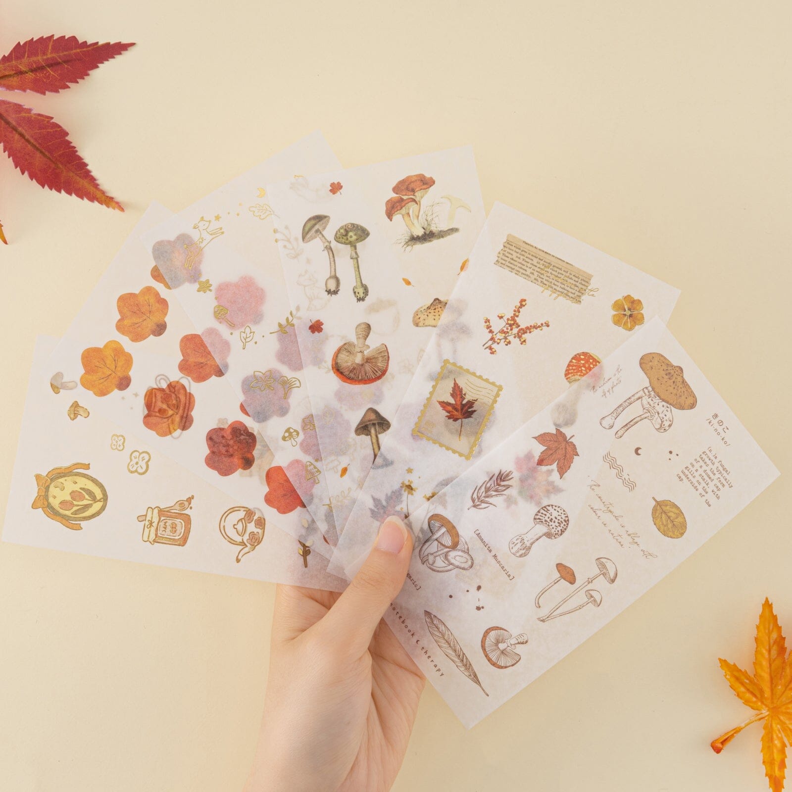 Tsuki ‘Maple Dreams’ Sticker Set ☾