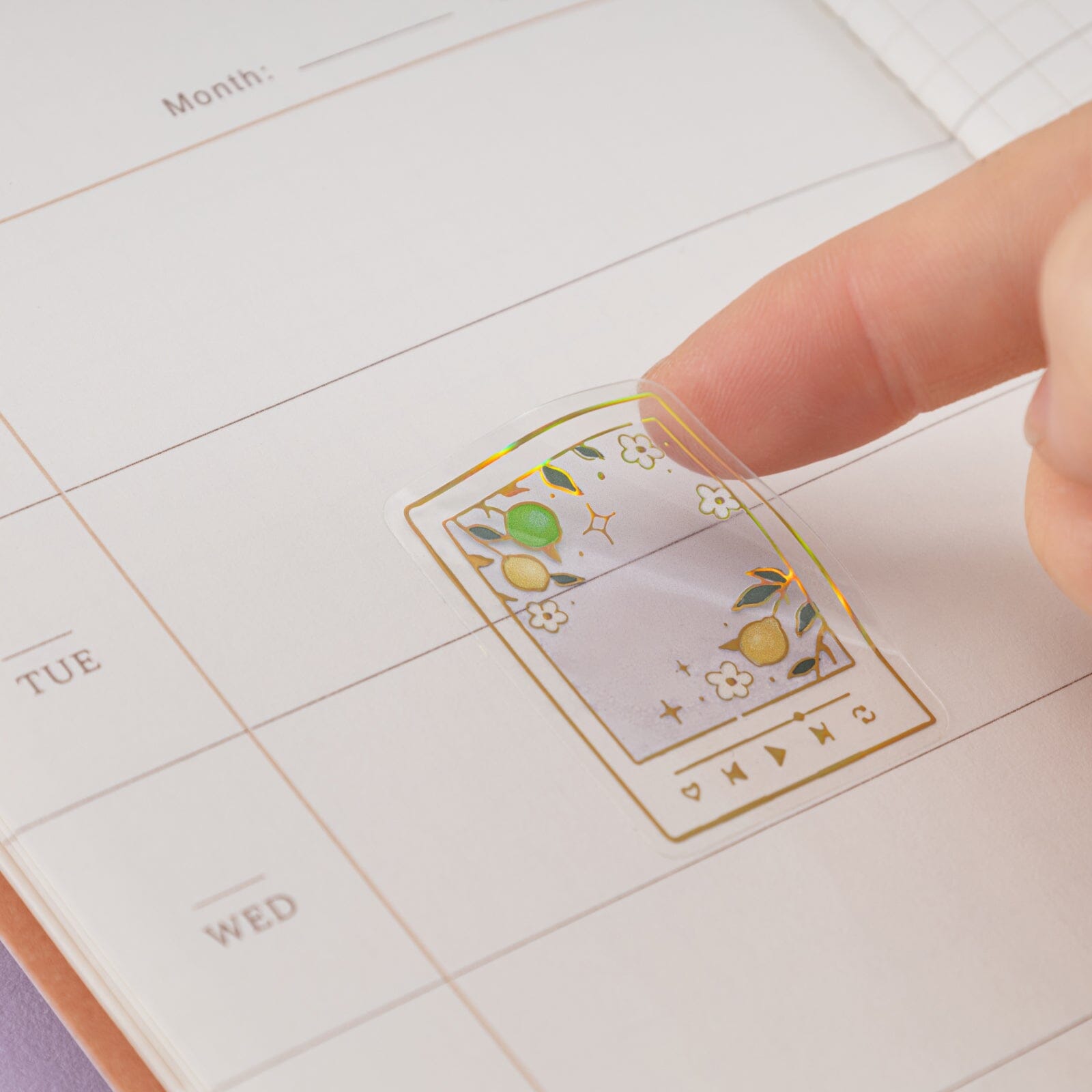 Tsuki Four Seasons: Summer Collector’s Edition 2025 3D Holographic Sticker Set ☾