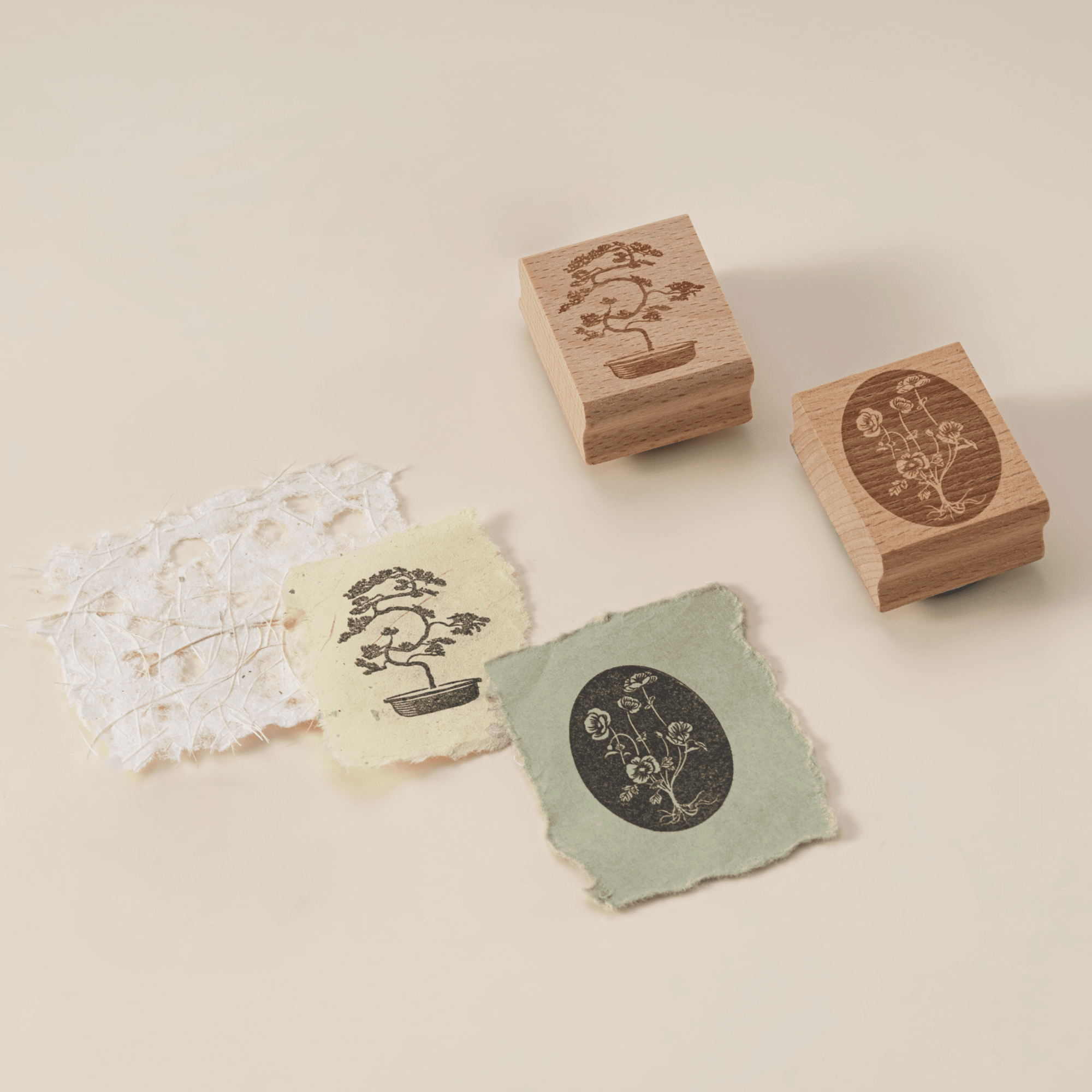 Hinoki ‘The Wandering Botanist’ Bundle