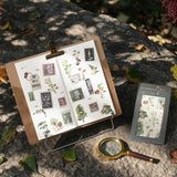 Hinoki - ‘The Wandering Botanist’ Sticker Sheets
