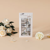Hinoki ‘Into the Archive’ Bundle