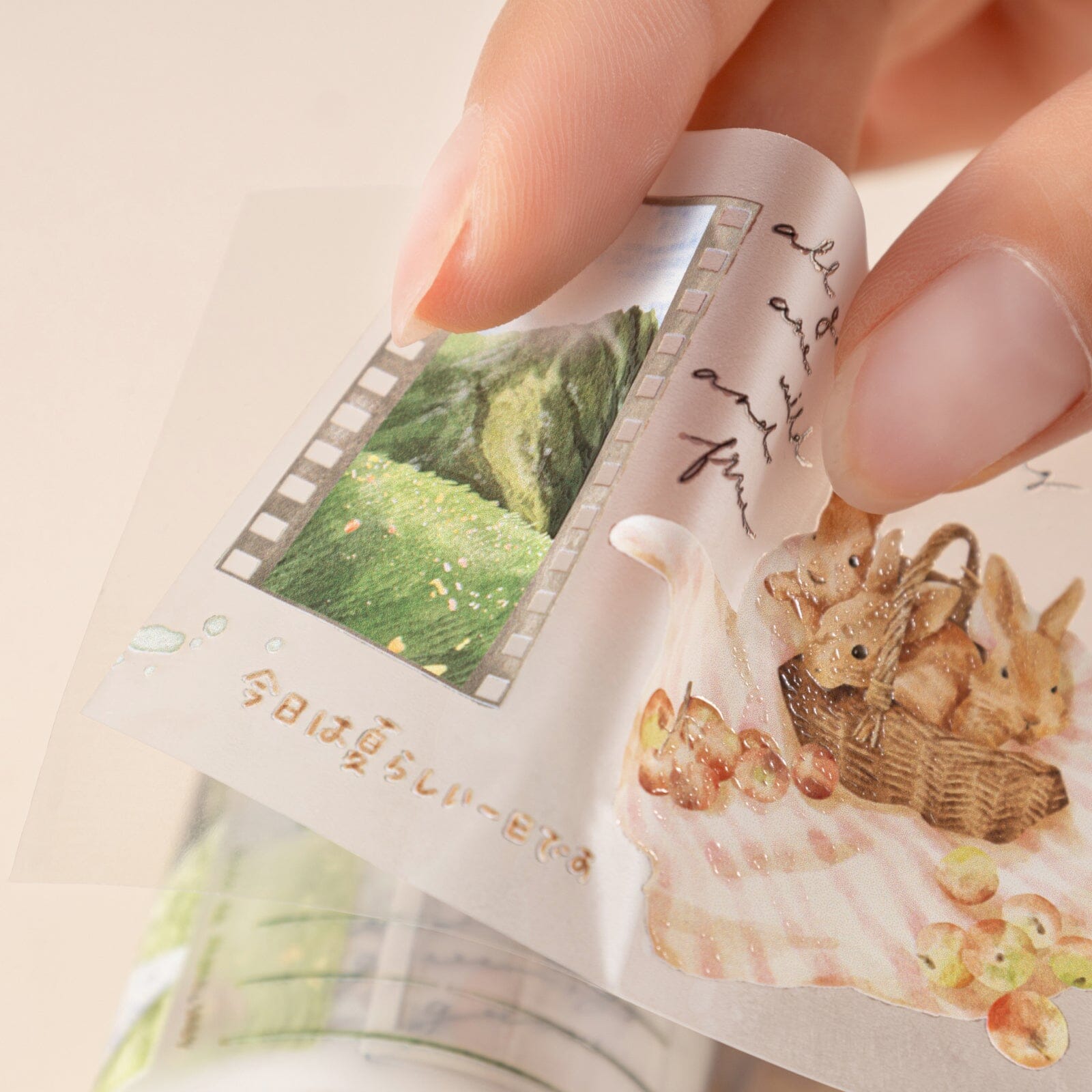 Hinoki - ‘Into the Meadow’ PET Decorative Tape - Meadow Picnic