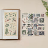 Hinoki - ‘The Wandering Botanist’ Sticker Sheets