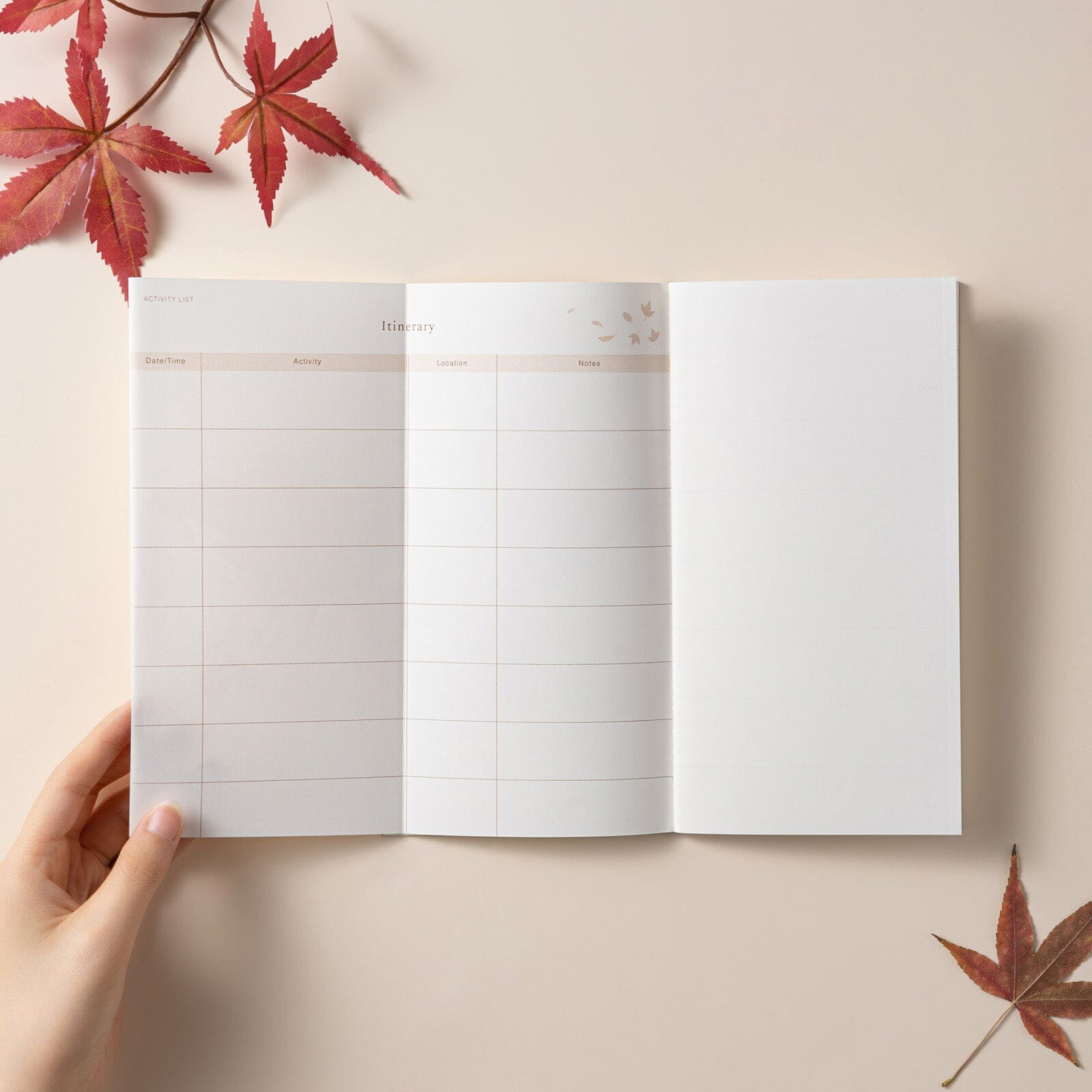 Hinoki - Scrapbook Ephemera Starter Set – NotebookTherapy