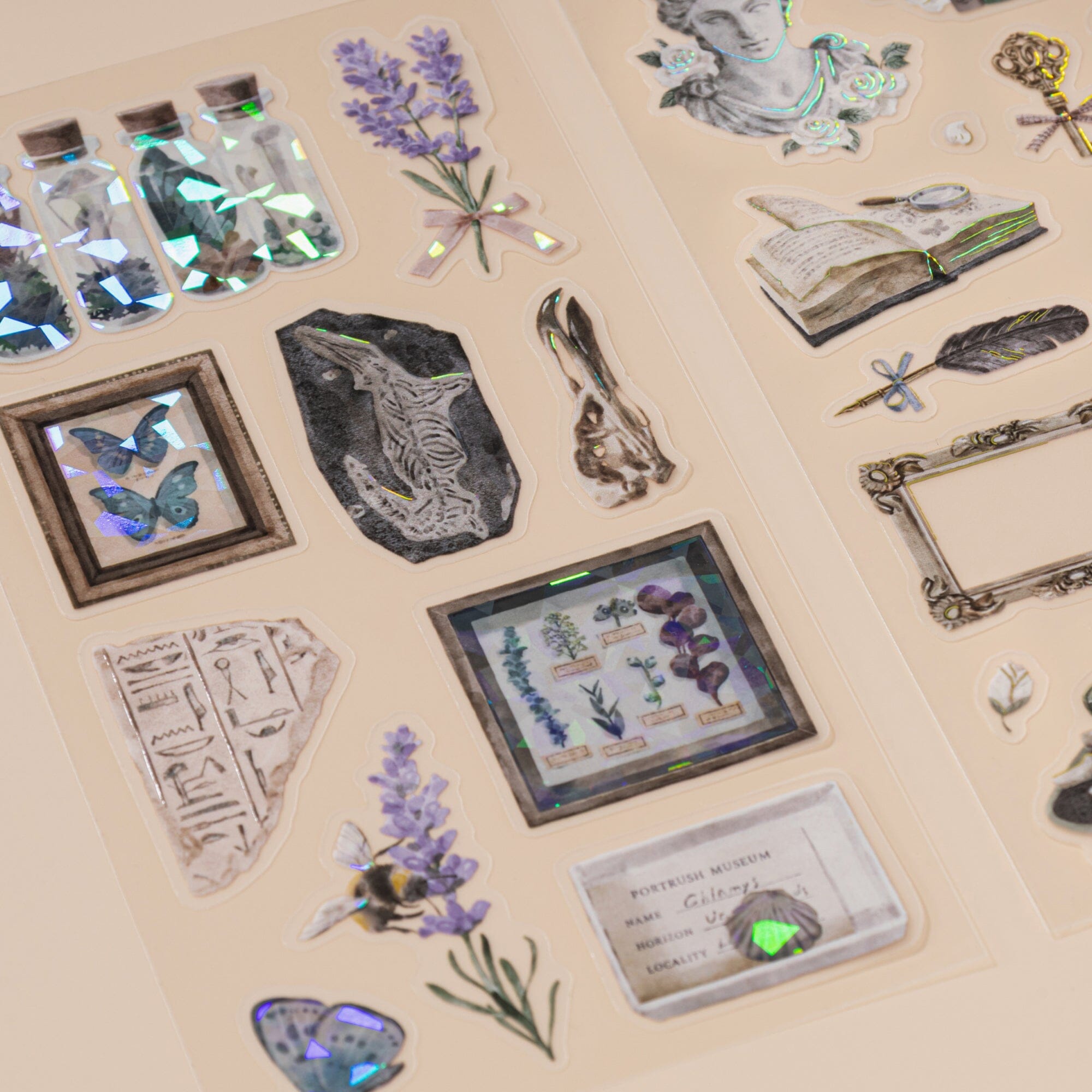 Hinoki ‘Into the Archive’ Bundle