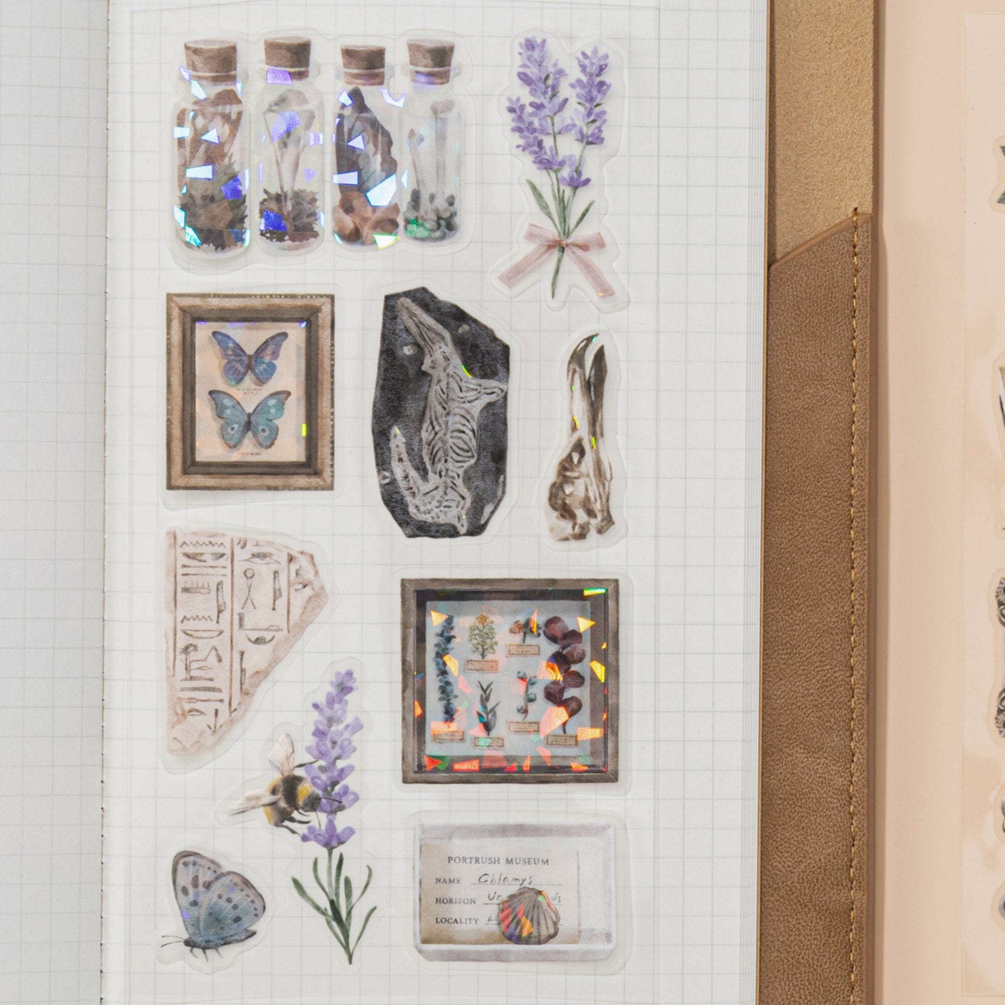 Hinoki ‘Into the Archive’ Bundle