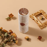 Hinoki - ‘Into the Library’ PET Decorative Tape