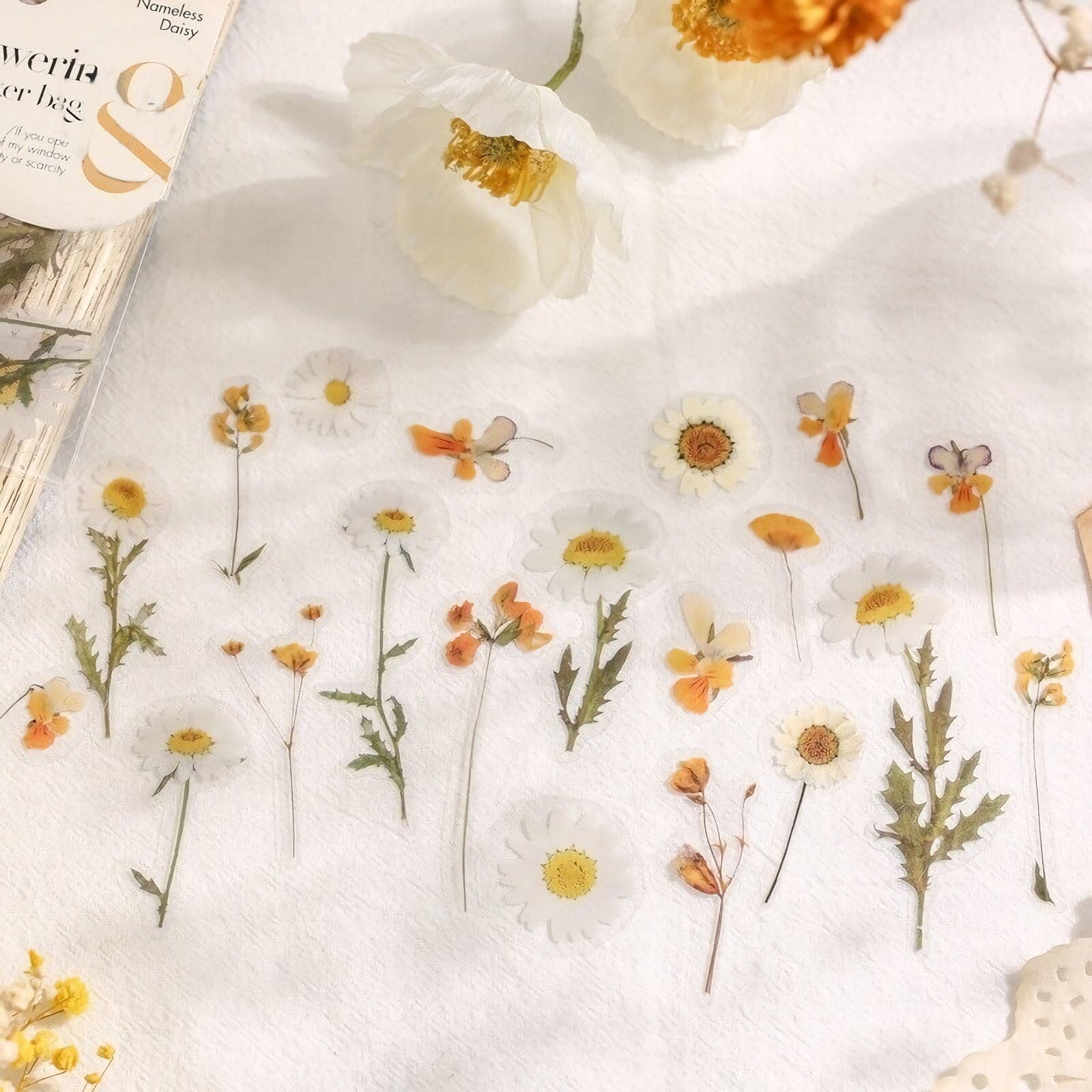 Tickseed Flower Stickers by Pressed Flower Gallery – Gentle Creations